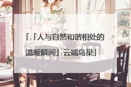 「人与自然和谐相处的温暖瞬间」云端鸟巢