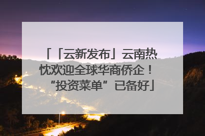 「云新发布」云南热忱欢迎全球华商侨企！“投资菜单”已备好