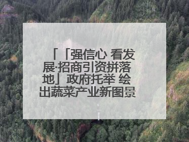 「强信心 看发展·招商引资拼落地」政府托举 绘出蔬菜产业新图景——镇原县甘肃聚广利现代设施蔬菜种植基地见闻