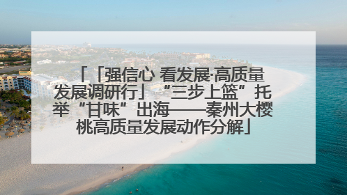 「强信心 看发展·高质量发展调研行」“三步上篮”托举“甘味”出海——秦州大樱桃高质量发展动作分解