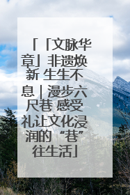 「文脉华章」非遗焕新 生生不息｜漫步六尺巷 感受礼让文化浸润的“巷”往生活