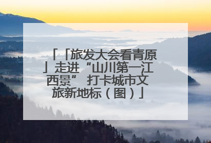 「旅发大会看青原」走进“山川第一江西景” 打卡城市文旅新地标（图）