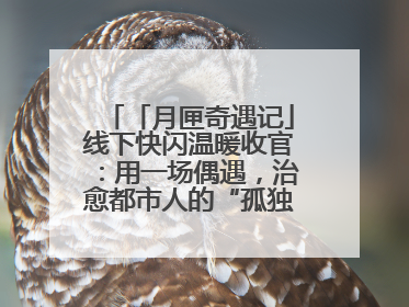 「月匣奇遇记」线下快闪温暖收官：用一场偶遇，治愈都市人的“孤独时刻”