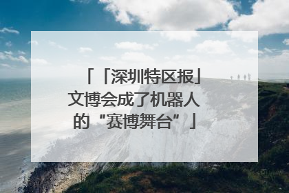「深圳特区报」文博会成了机器人的“赛博舞台”