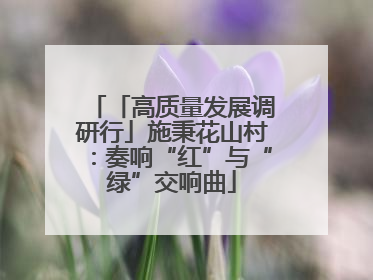 「高质量发展调研行」施秉花山村：奏响“红”与“绿”交响曲