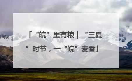 “皖”里有粮｜“三夏”时节，一“皖”麦香