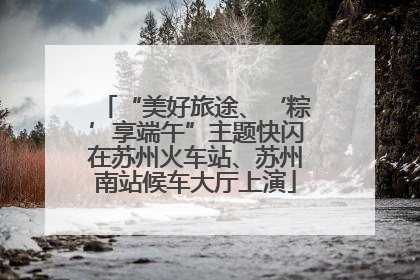 “美好旅途、‘粽’享端午”主题快闪在苏州火车站、苏州南站候车大厅上演