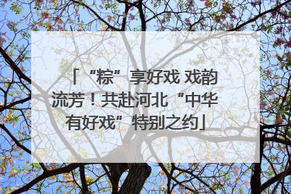 “粽”享好戏 戏韵流芳！共赴河北“中华有好戏”特别之约