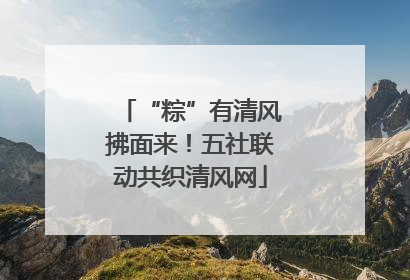 “粽”有清风拂面来！五社联动共织清风网