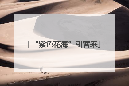 “紫色花海”引客来