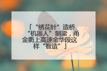 “绣花针”造桥、“机器人”制梁，甬金衢上高速金华段这样“智造”