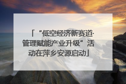 “低空经济新赛道·管理赋能产业升级”活动在萍乡安源启动