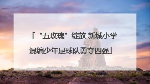 “五玫瑰”绽放 新城小学混编少年足球队勇夺四强