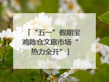 “五一”假期宝鸡陈仓文旅市场“热力全开”