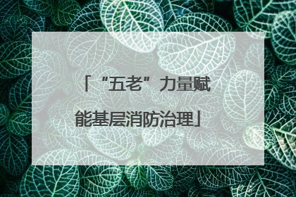 “五老”力量赋能基层消防治理