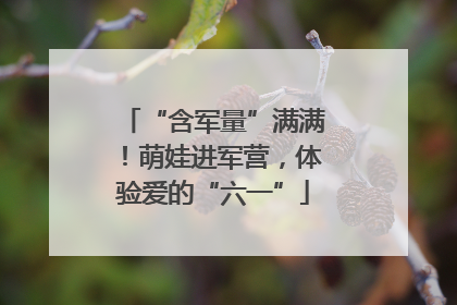 “含军量”满满！萌娃进军营，体验爱的“六一”