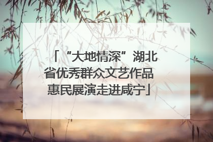 “大地情深”湖北省优秀群众文艺作品惠民展演走进咸宁