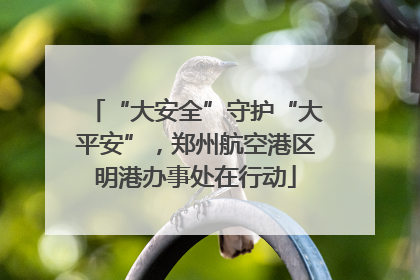 “大安全”守护“大平安”，郑州航空港区明港办事处在行动