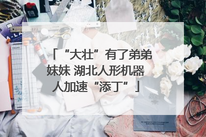 “大壮”有了弟弟妹妹 湖北人形机器人加速“添丁”