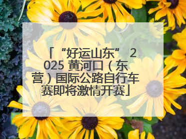 “好运山东” 2025 黄河口（东营）国际公路自行车赛即将激情开赛