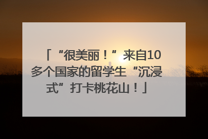 “很美丽！”来自10多个国家的留学生“沉浸式”打卡桃花山！