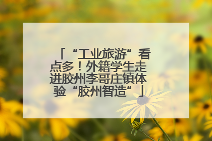 “工业旅游”看点多！外籍学生走进胶州李哥庄镇体验“胶州智造”