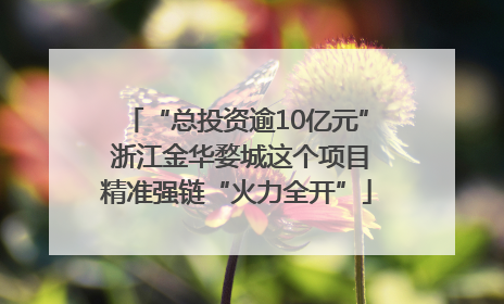 “总投资逾10亿元” 浙江金华婺城这个项目精准强链“火力全开”
