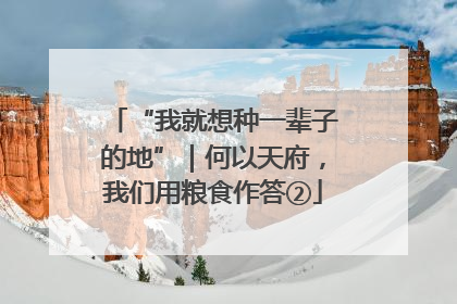 “我就想种一辈子的地”｜何以天府，我们用粮食作答②