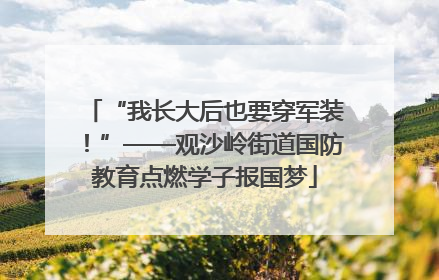 “我长大后也要穿军装！”——观沙岭街道国防教育点燃学子报国梦