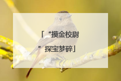 “摸金校尉”探宝梦碎