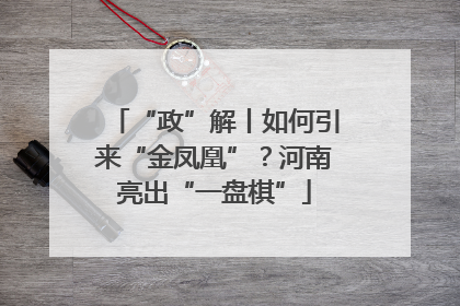 “政”解丨如何引来“金凤凰”？河南亮出“一盘棋”