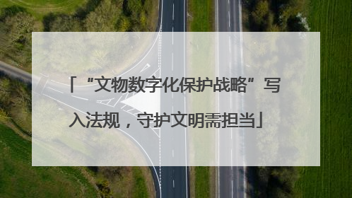 “文物数字化保护战略”写入法规，守护文明需担当
