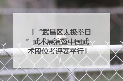 “武昌区太极拳日”武术展演暨中国武术段位考评赛举行