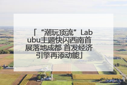 “潮玩顶流”Labubu主题快闪西南首展落地成都 首发经济引擎再添动能