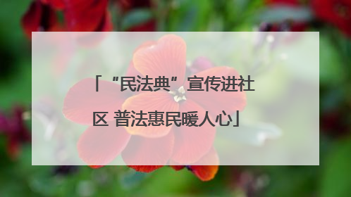 “民法典”宣传进社区 普法惠民暖人心