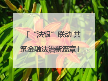 “法银”联动 共筑金融法治新篇章