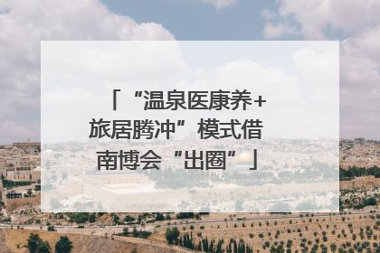 “温泉医康养+旅居腾冲”模式借南博会“出圈”