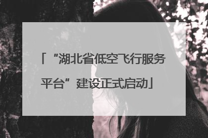 “湖北省低空飞行服务平台”建设正式启动