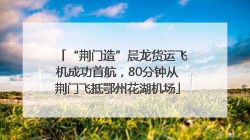 “荆门造”晨龙货运飞机成功首航，80分钟从荆门飞抵鄂州花湖机场
