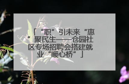 “职”引未来“惠”聚民生——仓园社区专场招聘会搭建就业“暖心桥”