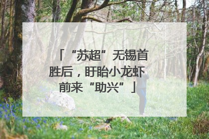 “苏超”无锡首胜后，盱眙小龙虾前来“助兴”