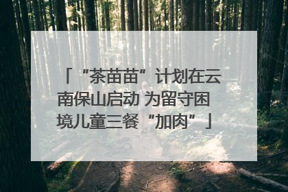 “茶苗苗”计划在云南保山启动 为留守困境儿童三餐“加肉”
