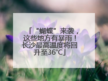 “蝴蝶”来袭，这些地方有暴雨！长沙最高温度将回升至36℃