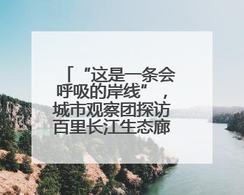 “这是一条会呼吸的岸线”，城市观察团探访百里长江生态廊道青山段