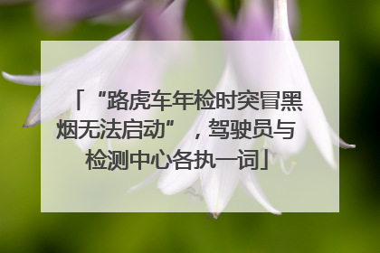 “路虎车年检时突冒黑烟无法启动”，驾驶员与检测中心各执一词