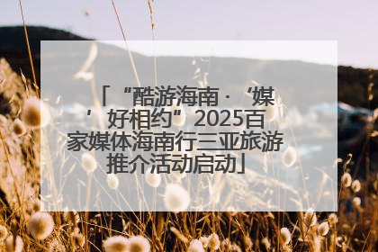 “酷游海南 ·‘媒’好相约”2025百家媒体海南行三亚旅游推介活动启动