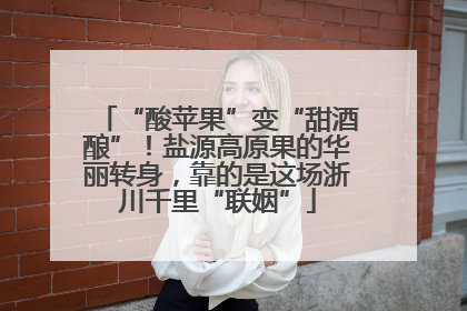 “酸苹果”变“甜酒酿”！盐源高原果的华丽转身，靠的是这场浙川千里“联姻”