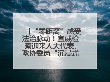 “零距离”感受法治脉动！宣威检察迎来人大代表、政协委员“沉浸式”体验