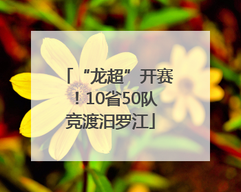 “龙超”开赛！10省50队竞渡汨罗江