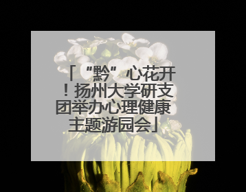 “黔”心花开！扬州大学研支团举办心理健康主题游园会